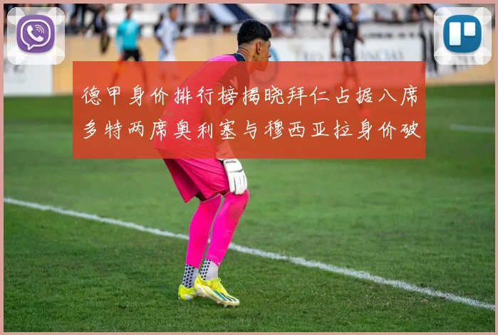德甲身价排行榜揭晓拜仁占据八席多特两席奥利塞与穆西亚拉身价破亿